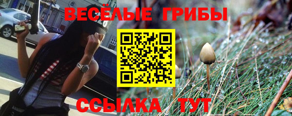Псилоцибиновые грибы прущие грибы  Вход с VPN  Муром 