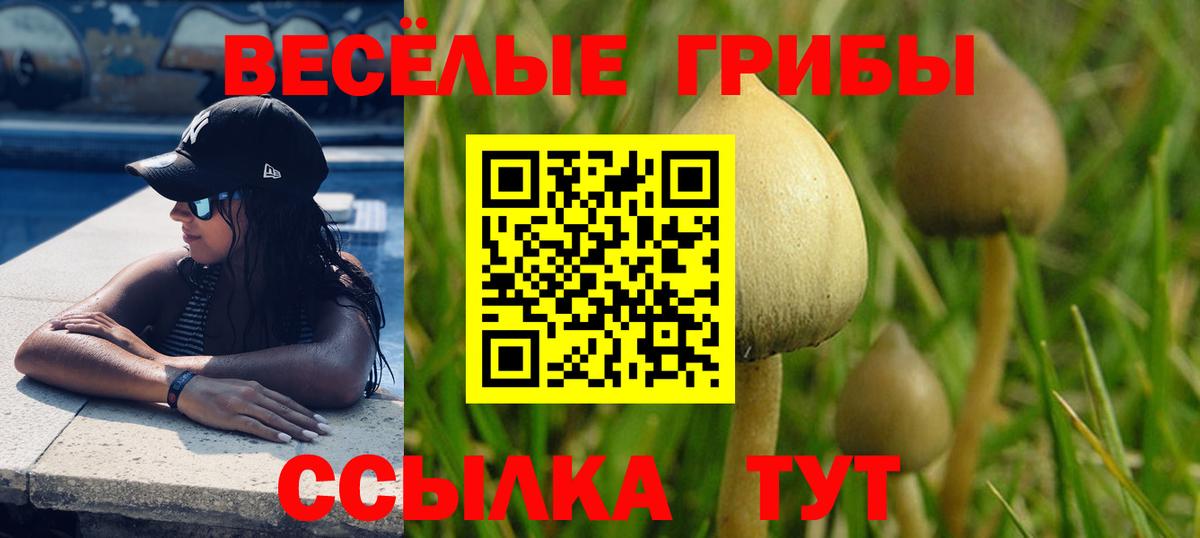 Галлюциногенные грибы Cubensis Муром